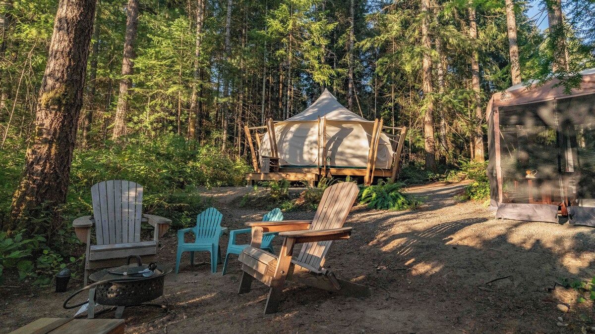 Campeggio in una foresta con una tenda, poltrone Adirondack, un fornello da campeggio e una struttura coperta.