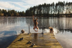 A wooden dock extending into a calm lake with a forest in the background.