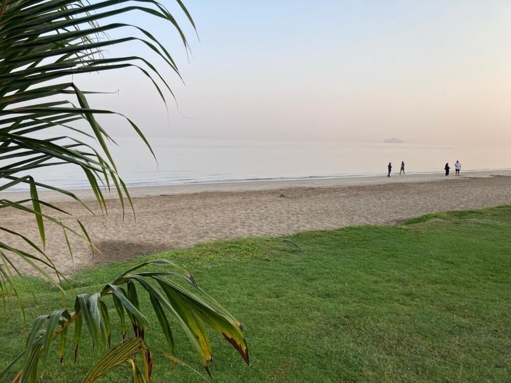 Ein Strand mit einer grünen Rasenfläche im Vordergrund und einigen Personen in der Ferne.