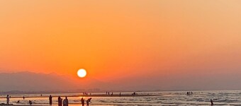 Arabian Night Nook - Red Jewel