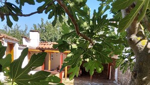 A courtyard with a stone pathway leading to a rustic building with a tiled roof. - House Sleeps 6-garden-freeparking-bbq-patio-petsok (Karnobat)