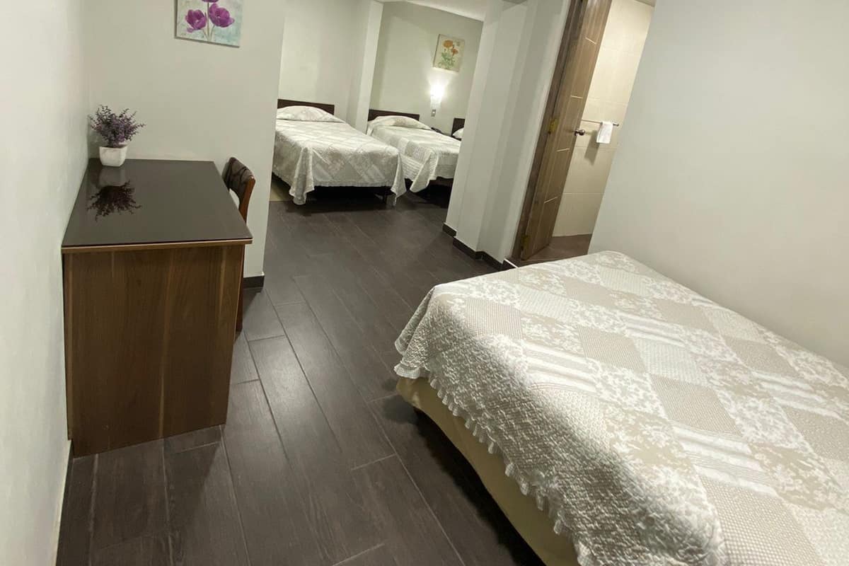 A narrow hallway with two beds, a desk, and a small table with a plant.
