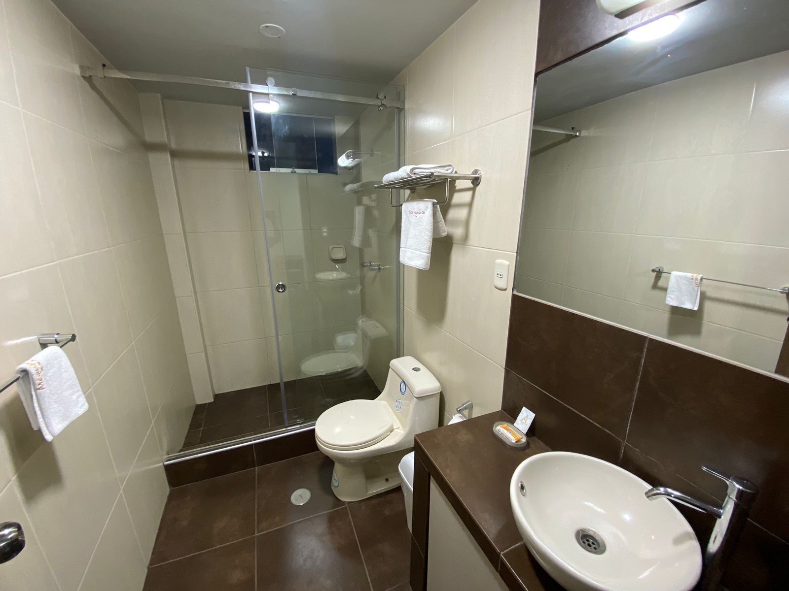 Baño con cabina de ducha de vidrio, inodoro, lavamanos y espejo.