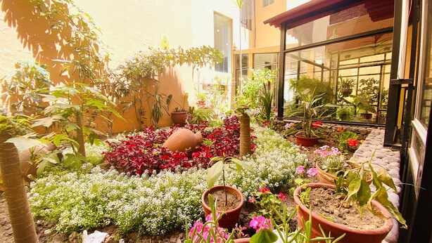Un jardín bien cuidado con diversas plantas y flores en macetas, una maceta decorativa grande y un camino de piedra.