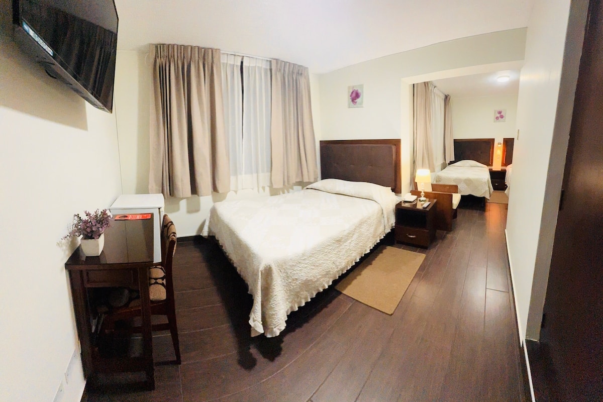 A hotel room with a bed, a desk with a chair, a TV mounted on the wall, and a small table with a plant.
