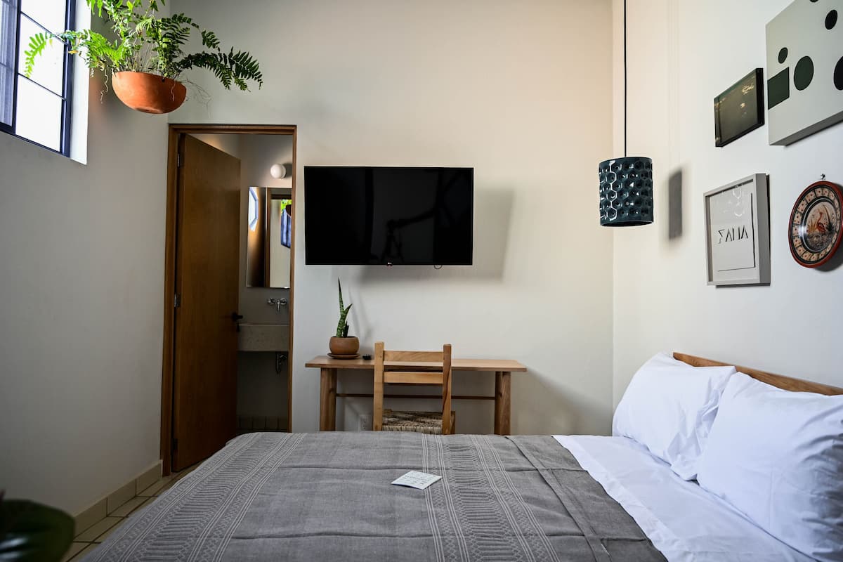 Une chambre à coucher avec un lit, un téléviseur fixé au mur, une chaise en bois, une petite table avec une plante et une porte donnant sur une autre pièce.