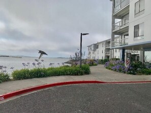 Property grounds - Tranquil Studio with New Interior and the Best Amentities (Emeryville)