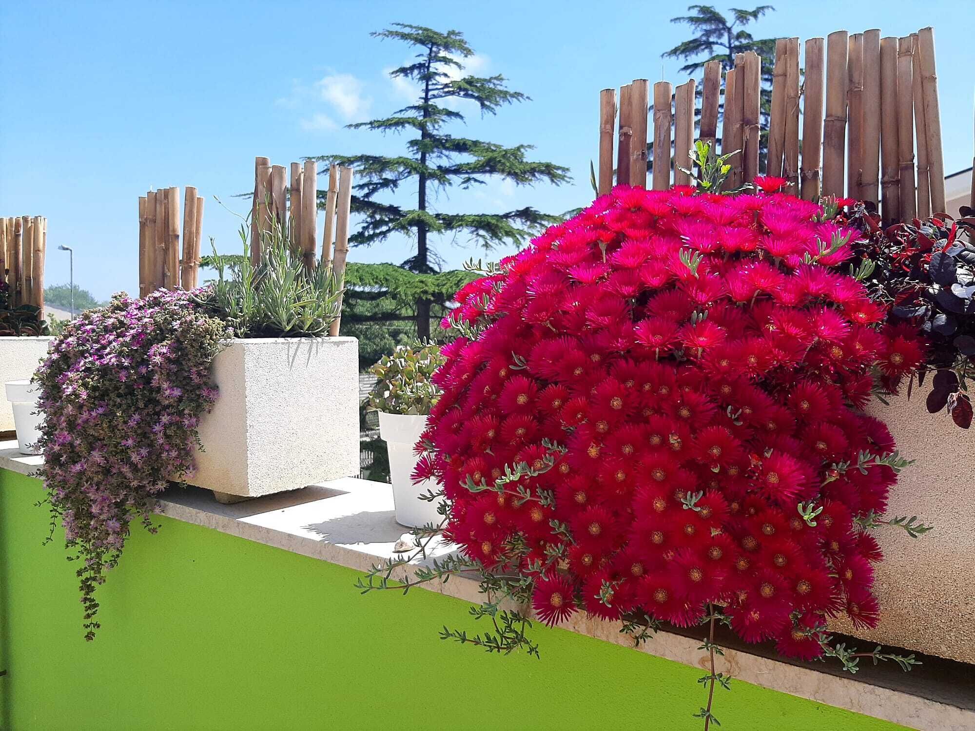 Foto - B&B SMARTFIT HOUSE - Room & Relax in Pescara