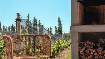 Une terrasse avec une table et des chaises, un four en briques et une vue sur un vignoble.