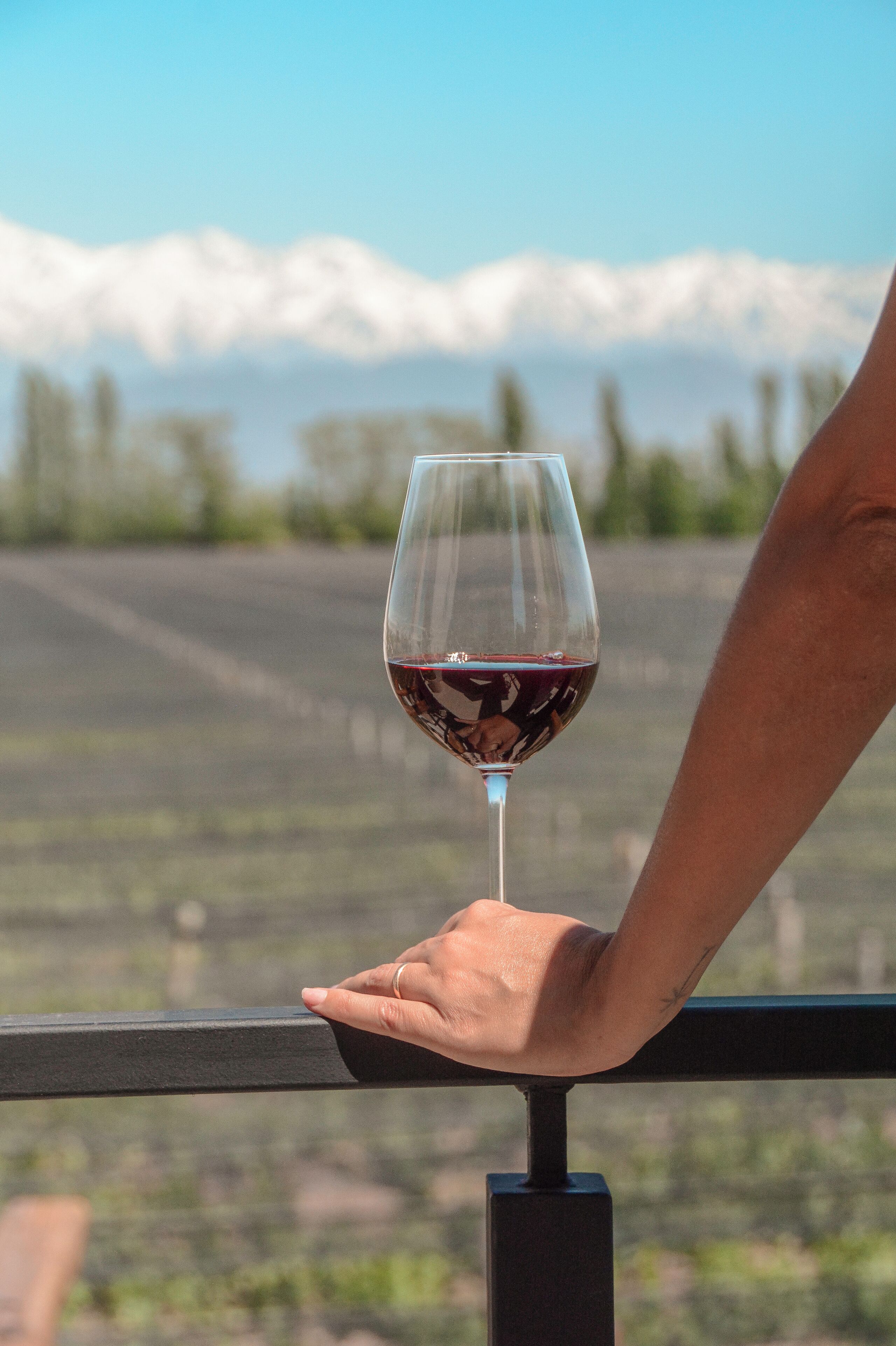 Una mano sosteniendo una copa de vino con un paisaje montañoso al fondo.