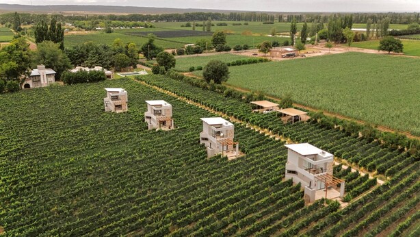 Un vignoble composé de plusieurs bâtiments modernes et blancs, dispersés dans les champs, et vraisemblablement utilisés pour la production de vin.