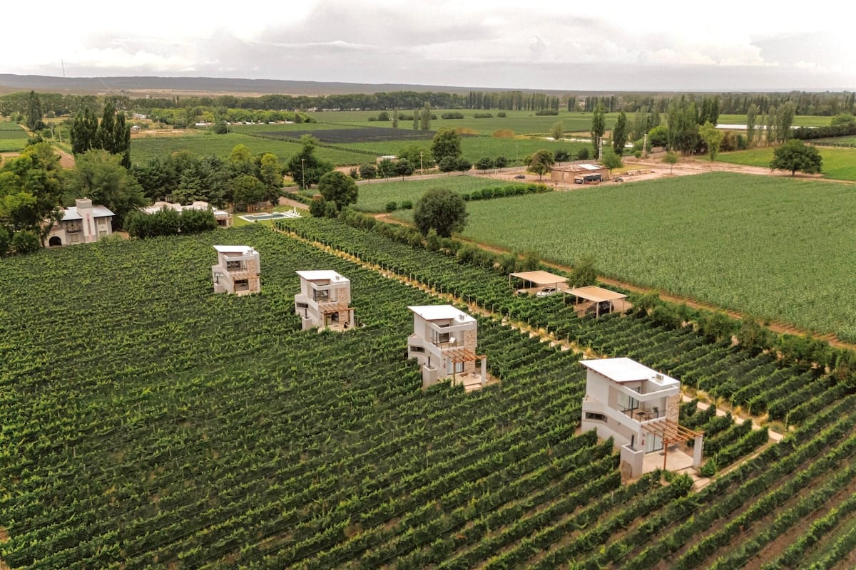 Um vinhedo com vários edifícios brancos e modernos espalhados pelos campos, provavelmente utilizados para produção de vinho.