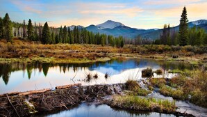 Un paysage paisible avec un lac tranquille, entouré de forêts denses et de montagnes en arrière-plan.