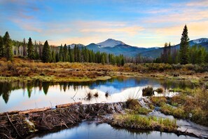 A serene landscape with a calm lake, surrounded by dense forests and mountains in the background.