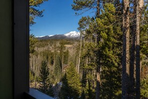 A mountain with snow-capped peaks, dense forest, and a cabin in the background.
