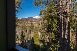 Interior - Mountain Views from WP Top Floor Getaway (Winter Park)