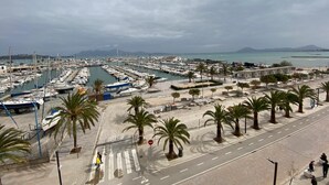 Un puerto deportivo con numerosas embarcaciones amarradas, un paso de peatones y palmeras bordeando el frente marítimo.
