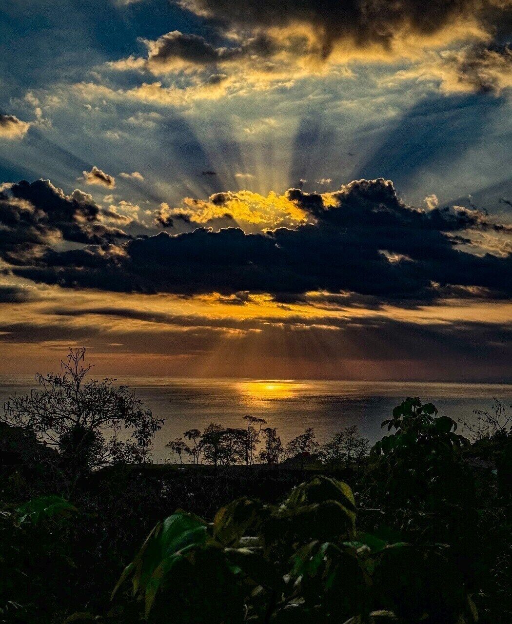 A sunset over a body of water with clouds and vegetation in the foreground.