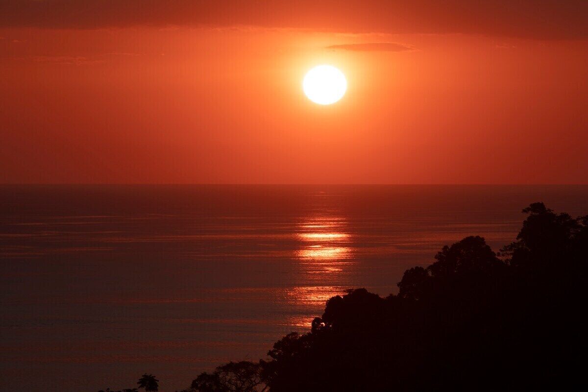 Un atardecer sobre un cuerpo de agua, con siluetas de árboles en primer plano.