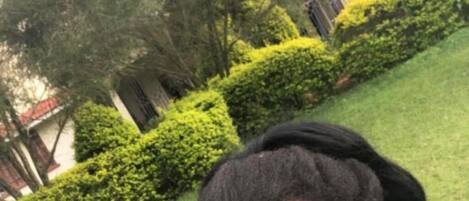 المنطقة المحيطة بالمنشأة