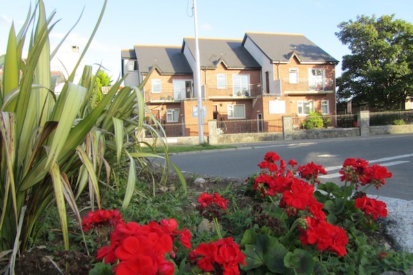 Àrea exterior de l'allotjament