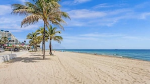 A beach with palm trees, a bike lane, and a view of the ocean.