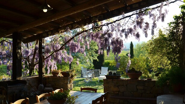 An outdoor patio with stone walls, wooden furniture, and hanging purple flowers. - Country House With Private Pool (Toscane)