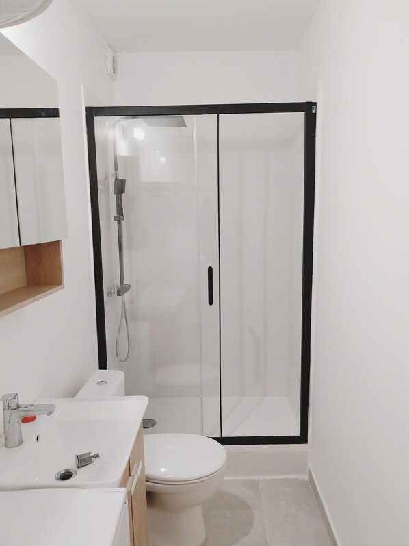 Shower, towels, toilet paper