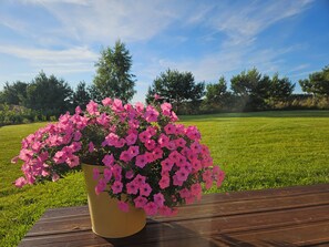 Overnattingsstedets uteområder