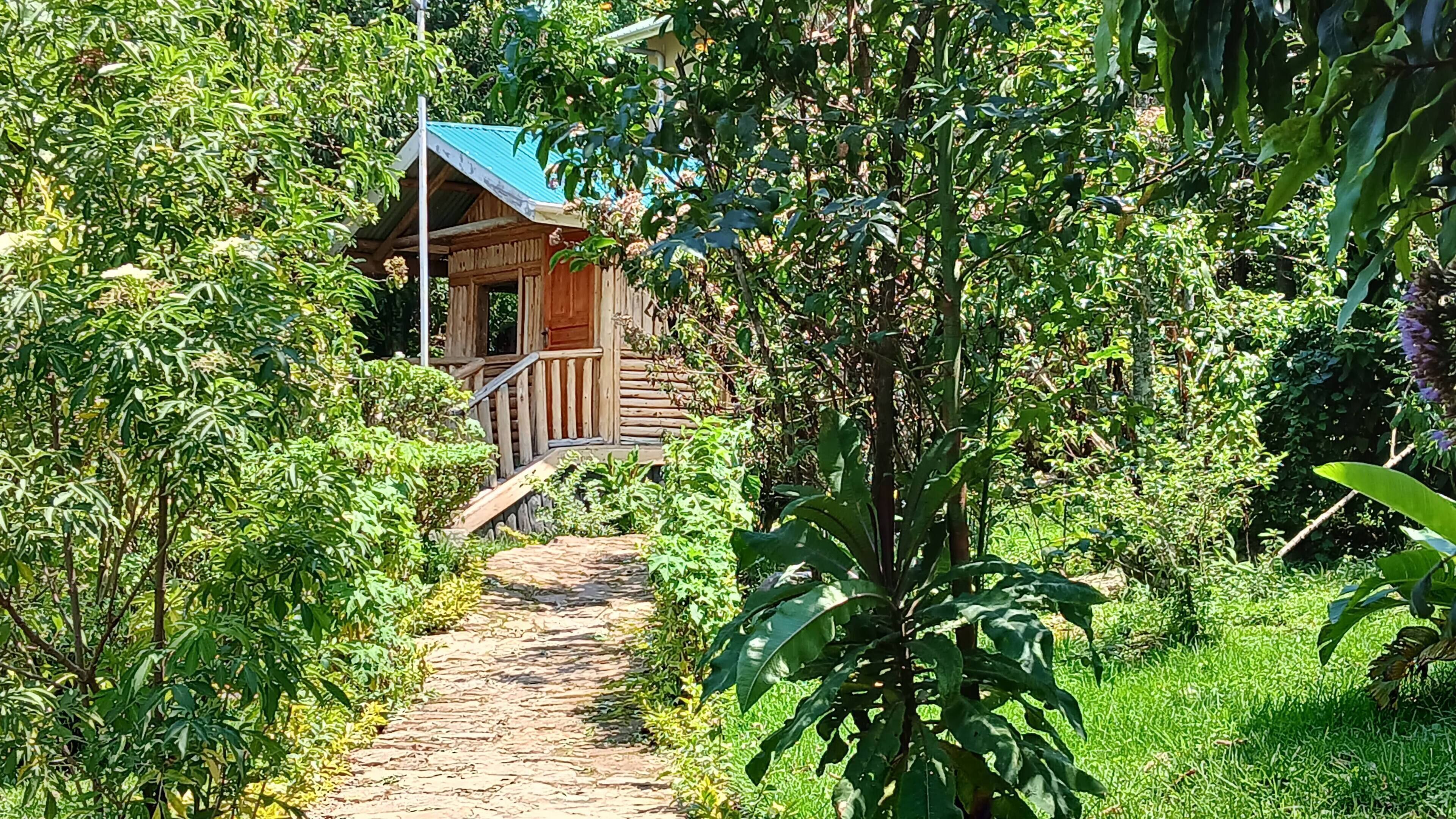 A wooden cabin with a porch, surrounded by lush greenery and a stone pathway leading to it.
