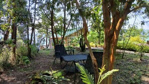 A forested area with a wooden cabin and two black chairs in the foreground. - Orugano Bwindi Lodge (Nkuringo)