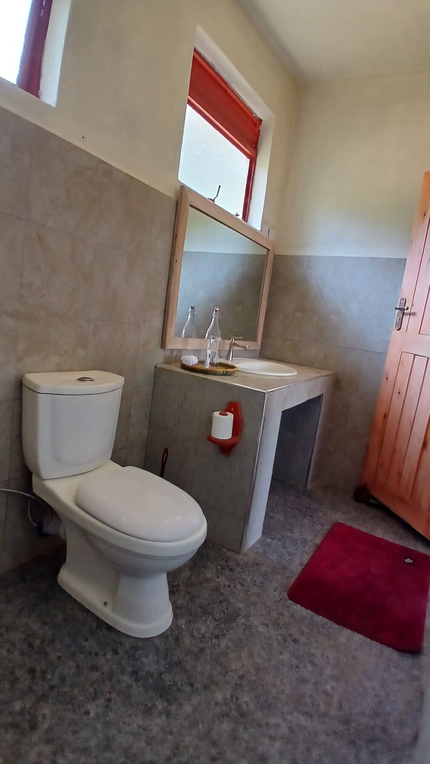 Un baño con inodoro, lavabo, espejo y un tapete rojo en el suelo.