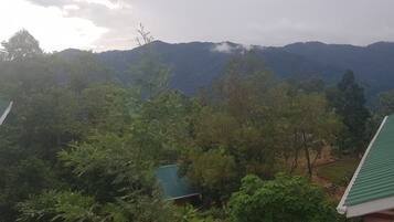 Vista de un paisaje montañoso con bosque denso y un edificio con techo verde.
