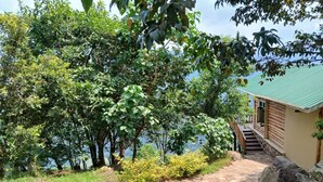 A stone pathway leading to a wooden cabin with a green roof, surrounded by lush greenery and trees. - Orugano Bwindi Lodge (Nkuringo)
