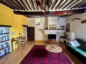A living room with a fireplace, bookshelves, a green sofa, and a wooden ceiling. - Large character house with private pool, View of the hills (Rustrel)