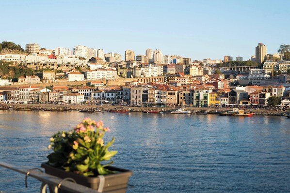 A coastal cityscape with buildings along the waterfront, a clear sky, and a potted plant in the foreground.