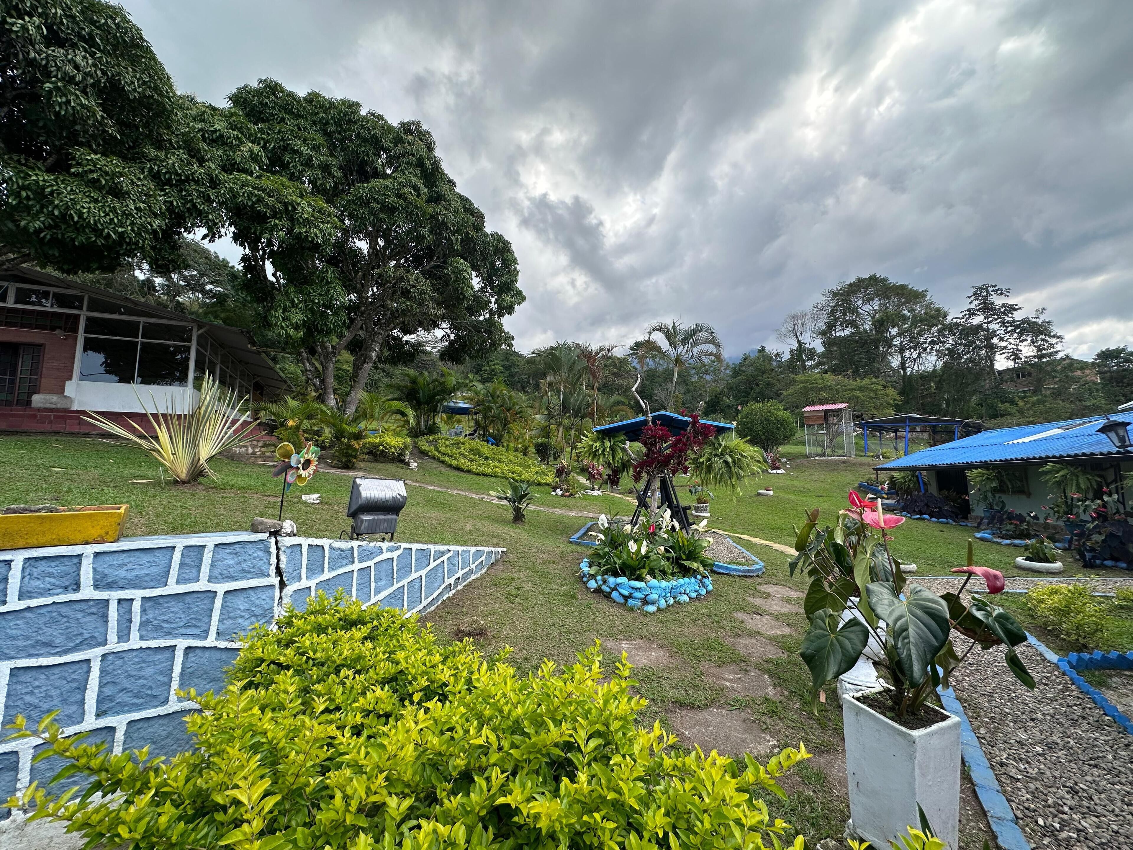 A garden with a variety of plants, a gazebo, and a building with a blue roof.