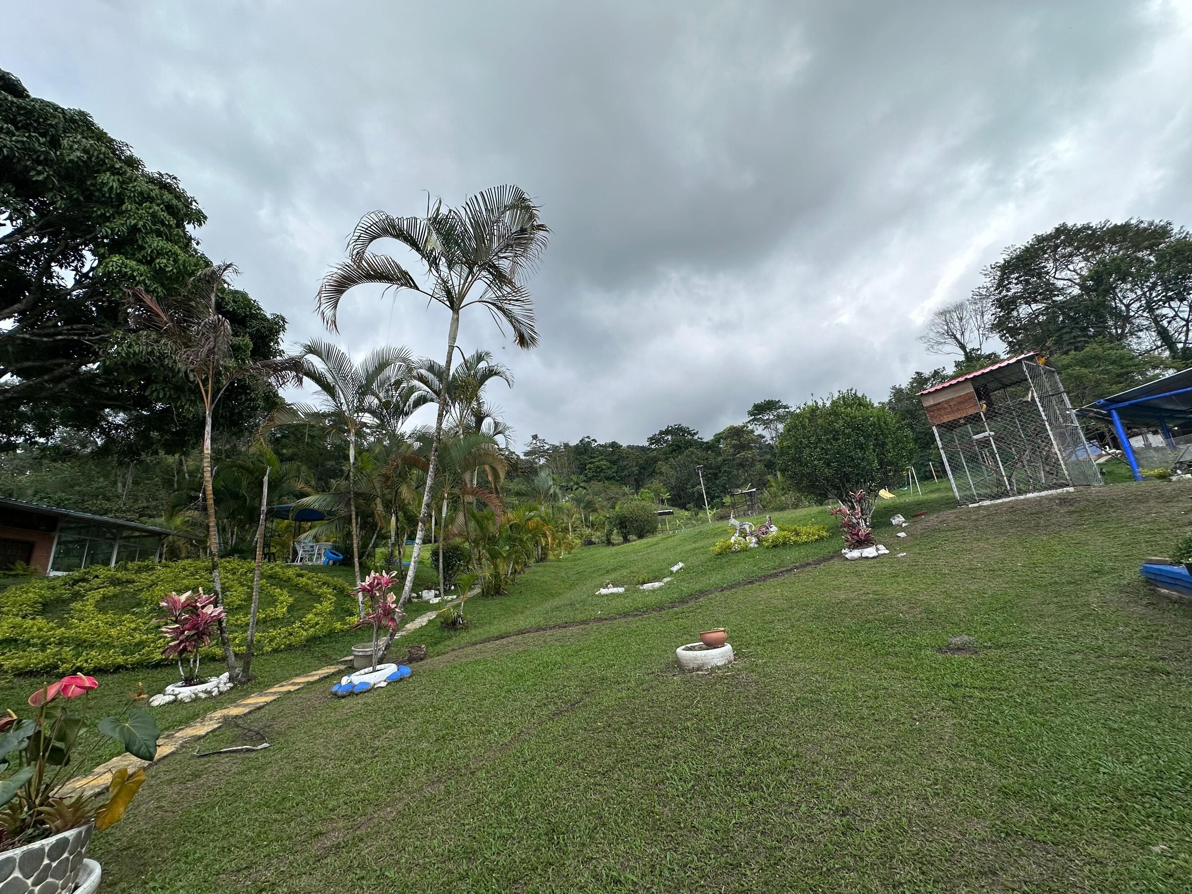 A grassy area with palm trees, a fenced structure, and a building with a blue roof.