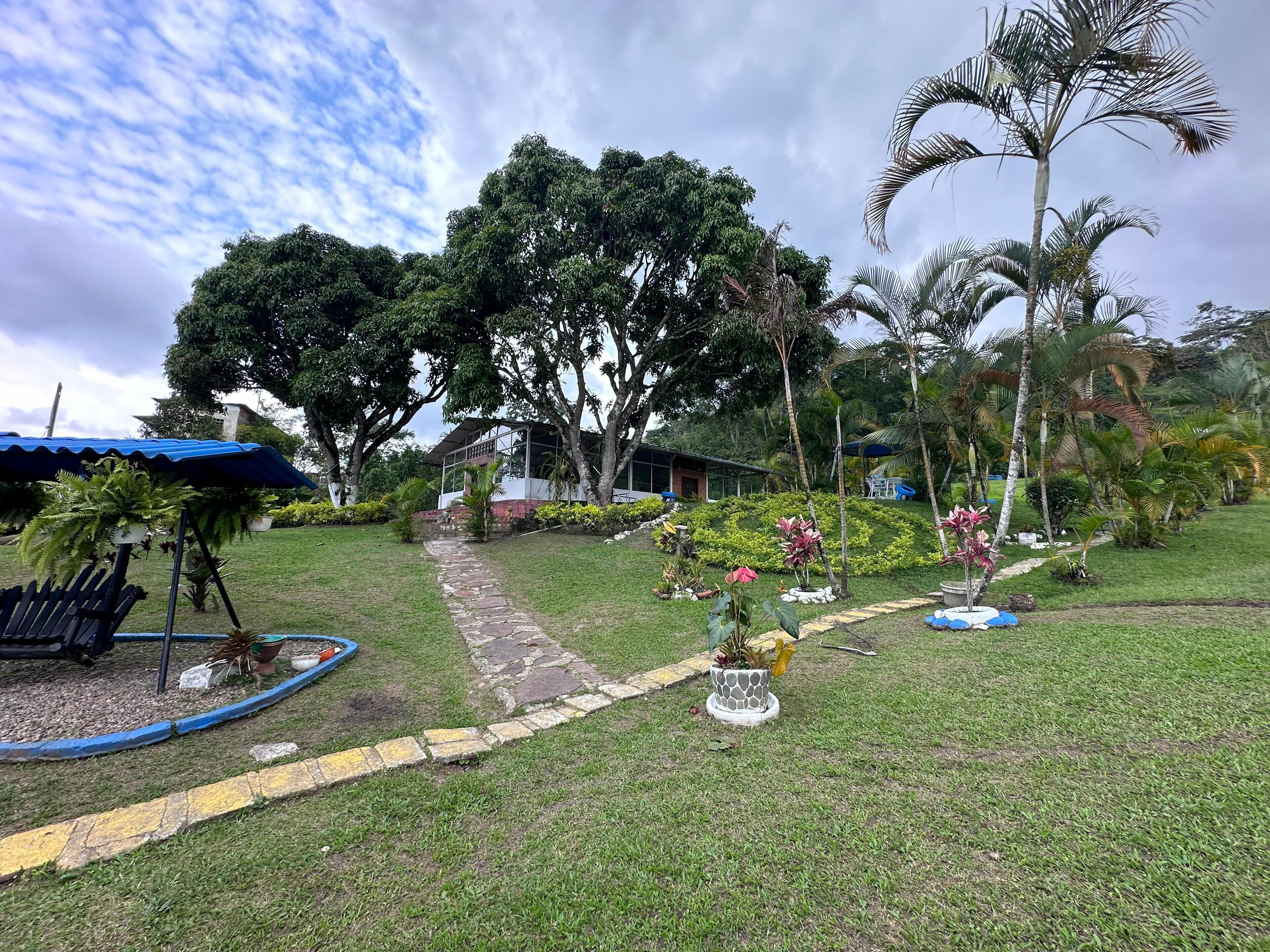 Televisión de pantalla plana