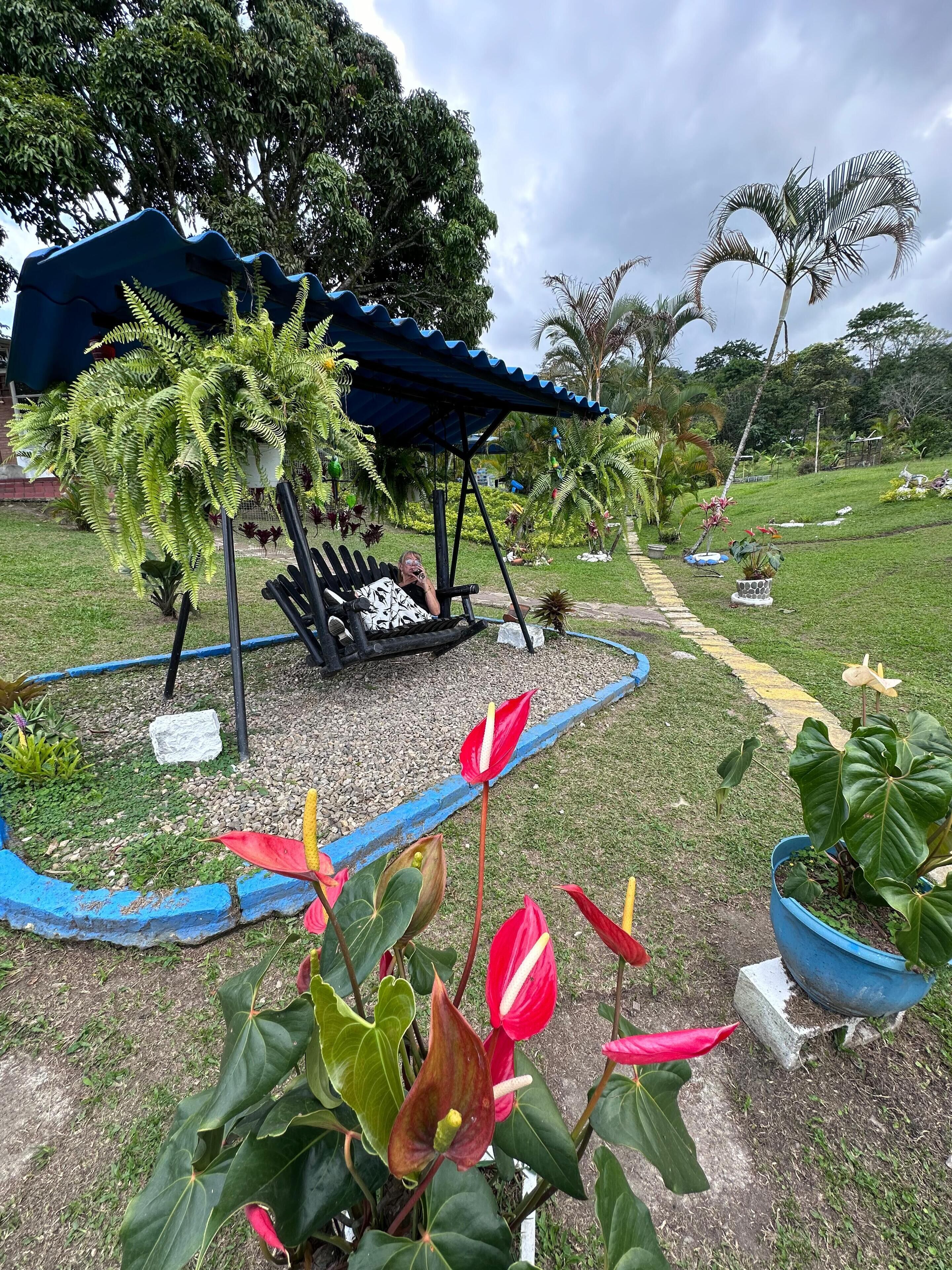 A garden with a swing set, potted plants, and a blue-roofed structure.