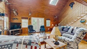 Télévision, cheminée, livres