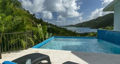 On A Whim - 2 BR/3BA Cozy Island House with Infinity Pool and View of Coral Bay!