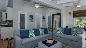 Smart TV, books, stereo