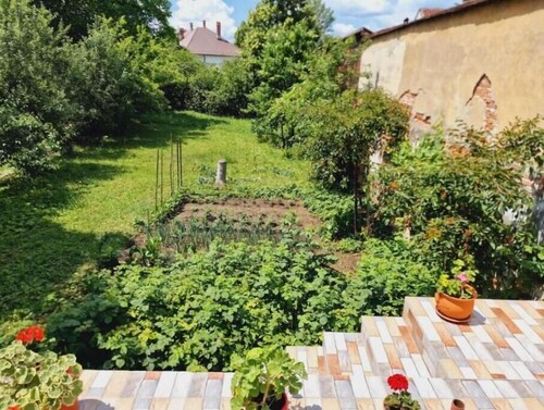 Studio minunat de vacanta Cristian