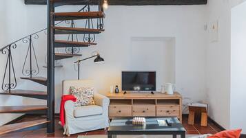 Televisión, chimenea y libros
