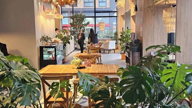 Un café moderne avec des tables et des chaises en bois, de grandes fenêtres et des plantes d’intérieur.