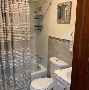 Bathroom features a shower, bathtub, toilet, and sink with a mirror above the sink.