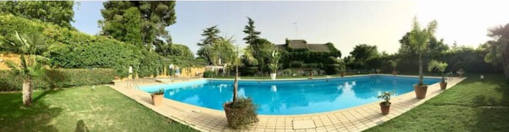 A rectangular swimming pool surrounded by a tiled deck, with a grassy area and trees in the background.