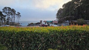 Un restaurante costero con vistas al mar, rodeado de vegetación exuberante y altos árboles.