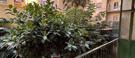 Family Suite | Terrace/patio